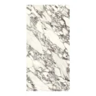 Arabescato Viola slab/material image