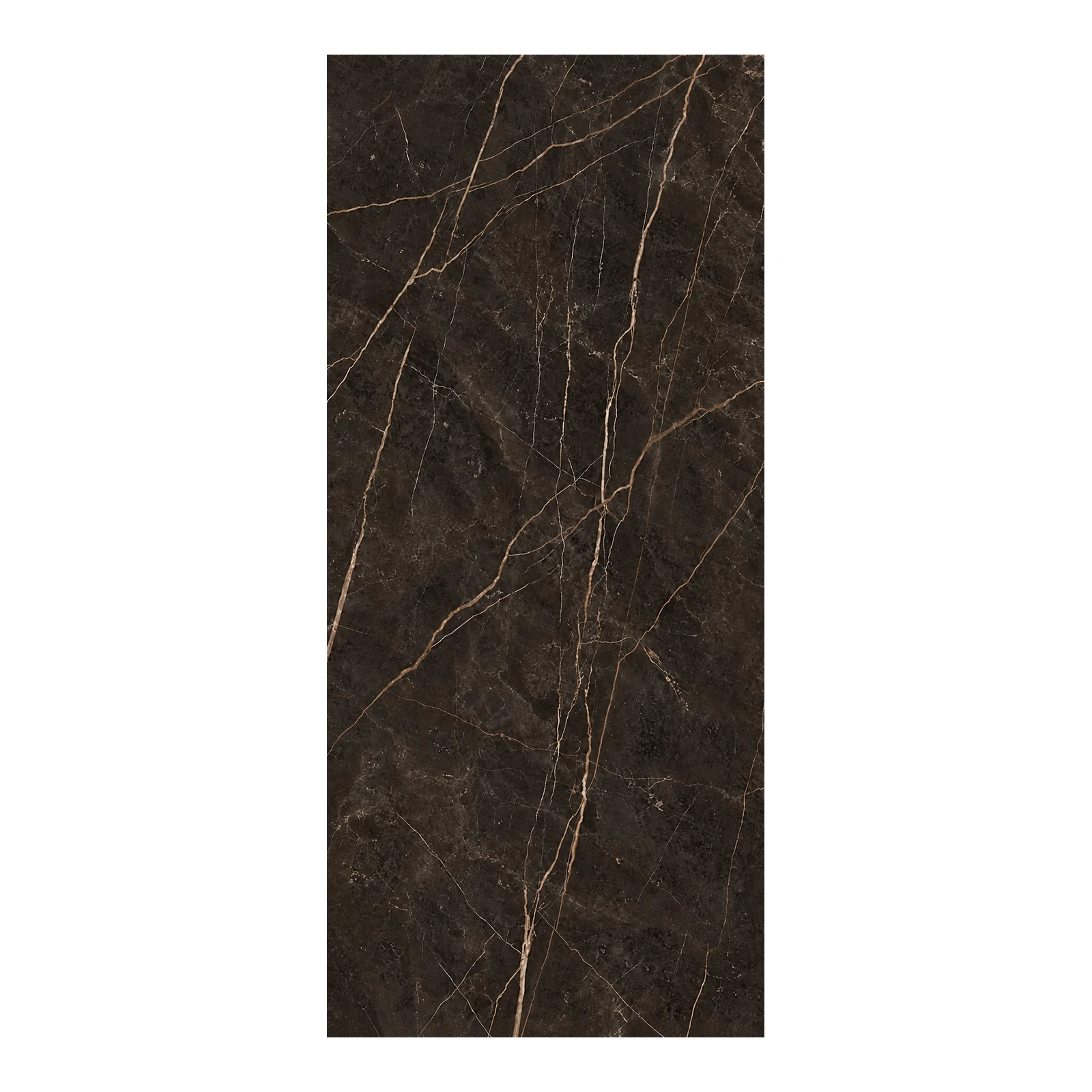 Saint Laurent slab/material image